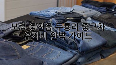 보령 웅천읍 두룡리 중고차 유지비 완벽 가이드
