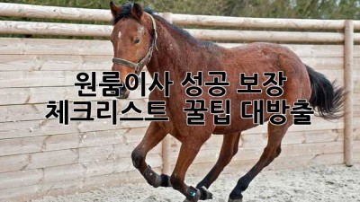 원룸이사 성공 보장💯 체크리스트 & 꿀팁 대방출! 📦