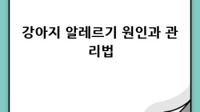 강아지가 핥는 이유: 우리 댕댕이, 왜 그럴까요?
